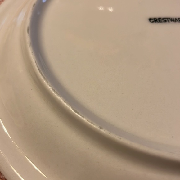 Crestwate Dinner plate 10 Inches - Picture 7 of 8